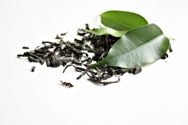 Zelený čaj a jeho účinky na bolest v krku