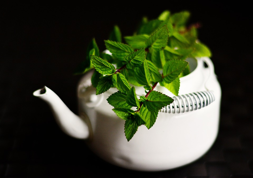 Kolik kofeinu obsahuje černý a zelený čaj?