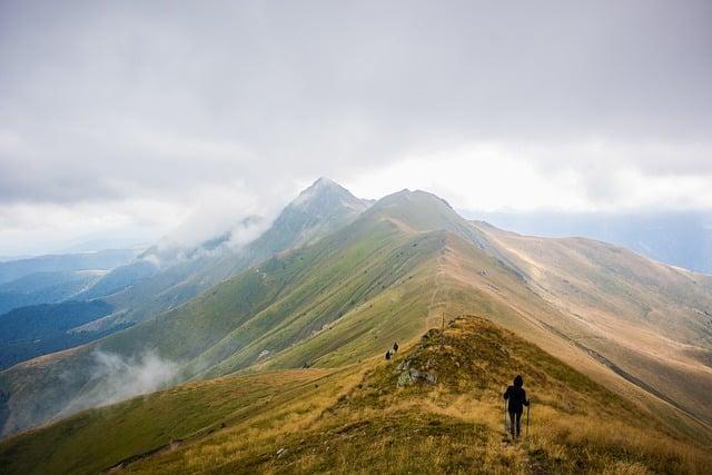 Bulharský kotvičník: Zkušenosti a doporučení